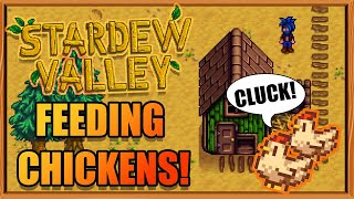 How To Feed Chickens in Stardew Valley | Stardew Valley Farming Guide