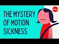 The mystery of motion sickness - Rose Eveleth