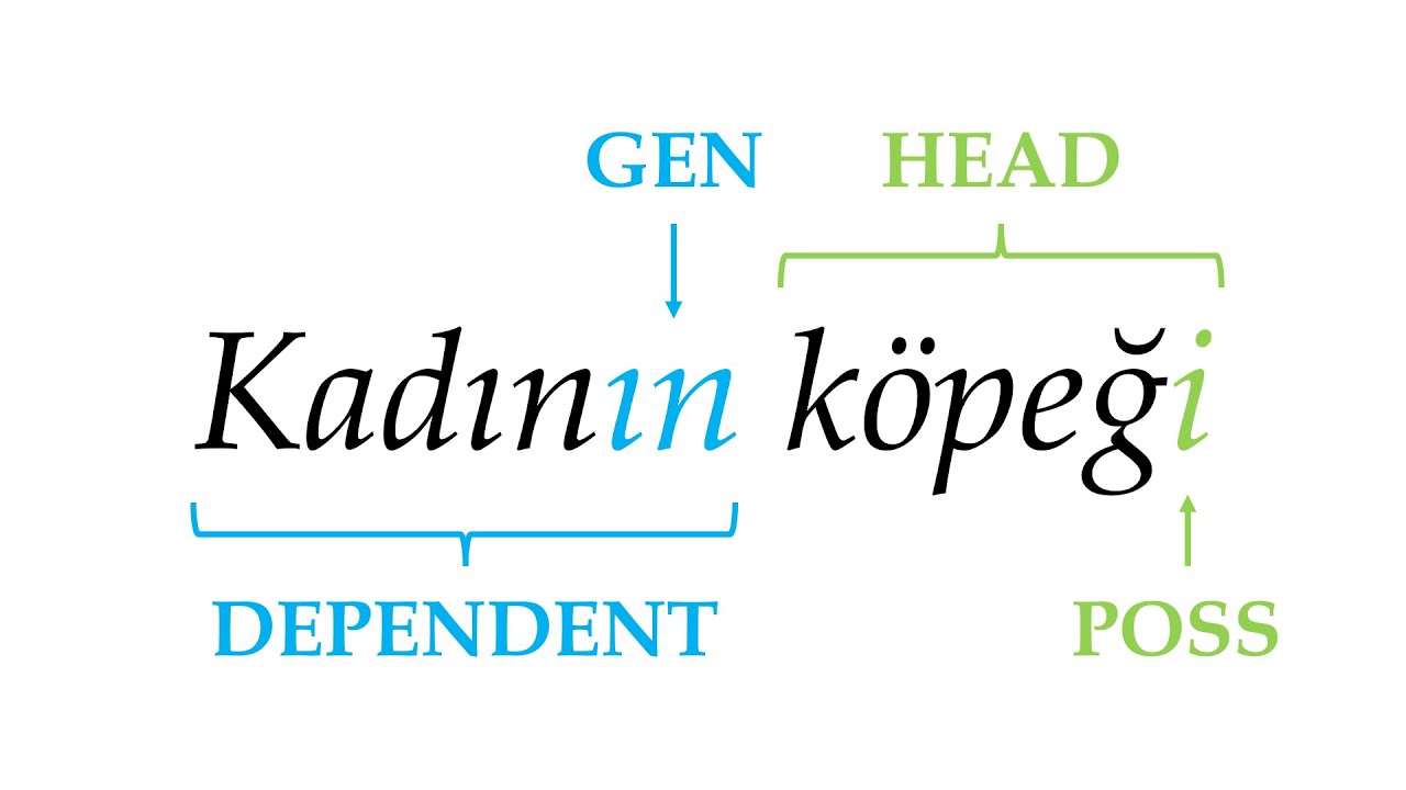 Feature Focus - Head-marking vs. Dependent-marking