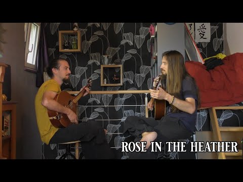 Rose in the Heather (Irish trad)