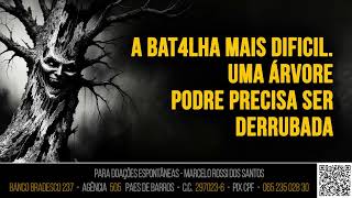 Análise de Cenário - A Bat4lha mais dificil . Uma árvore PODRE precisa ser derrubada