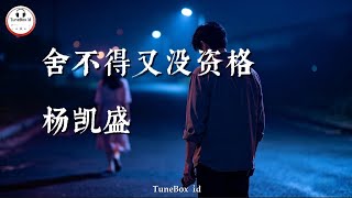 Download lagu 杨凯盛 - 舍不得又没资格 | Ingin menyerah tetapi tidak mampu, ingin melanjutkan tetapi tidak memiliki hak mp3