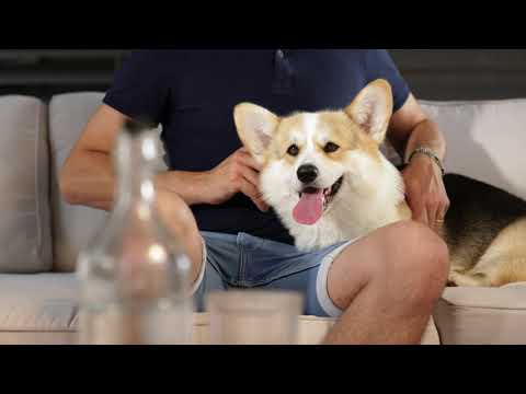 Make Medicating Easy With Easypill Short 4