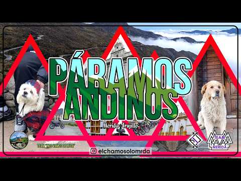 Páramos Andinos - Pueblo Llano - Paramo de Guirigay - Tuñame (Ruta Off-Road)