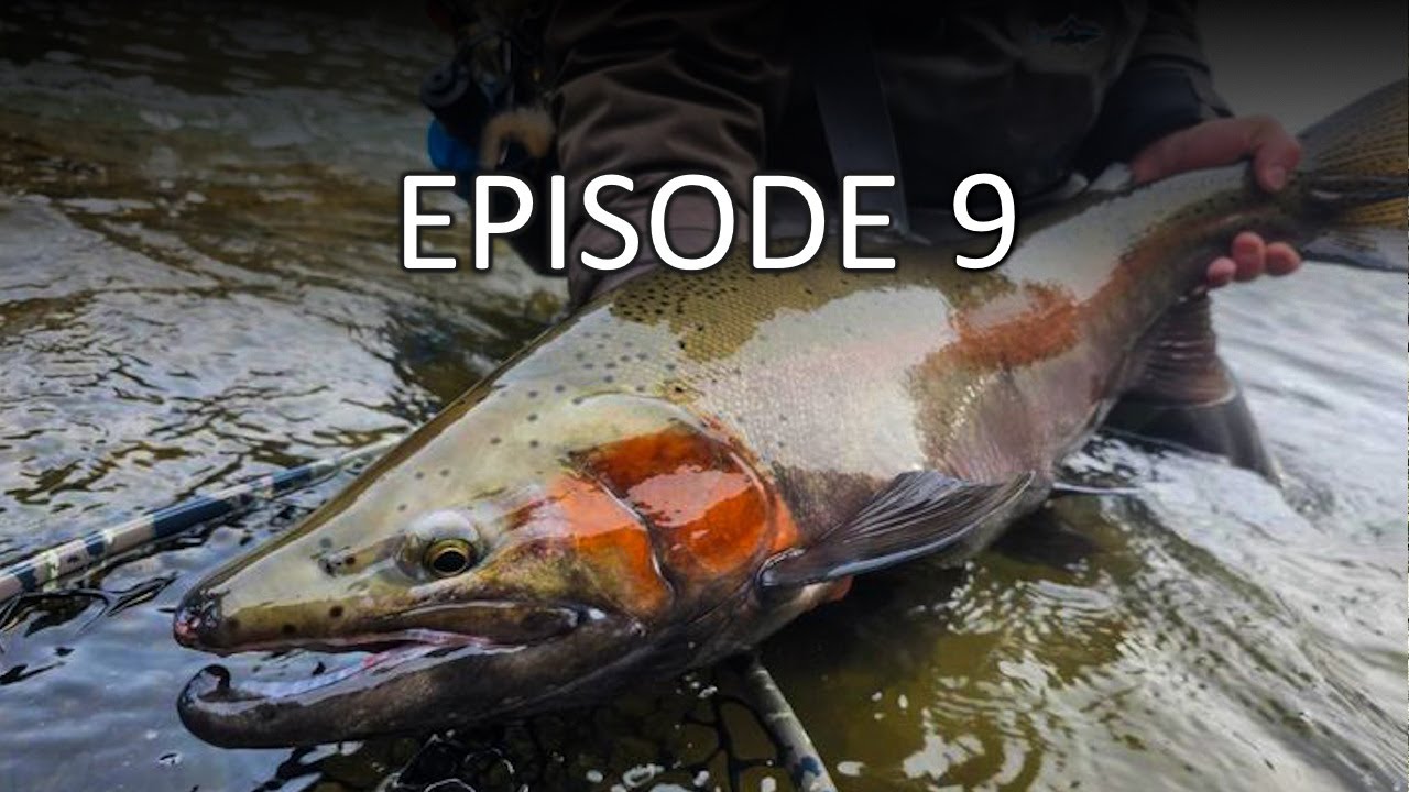 [EP9] Chasing Giant Steelhead