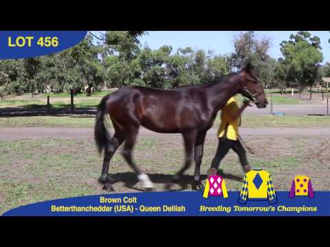 Lot 456   Betterthancheddar   Queen Delilah