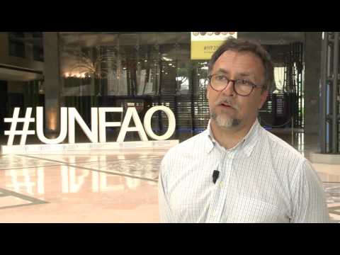 South Sudan’s food gap on the rise