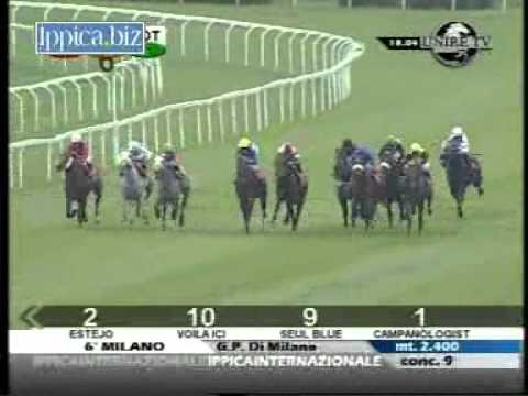 G.P. Di Milano 2010 (GR 1)