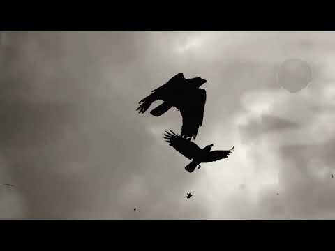 VOWWS - Esseff (Unofficial)