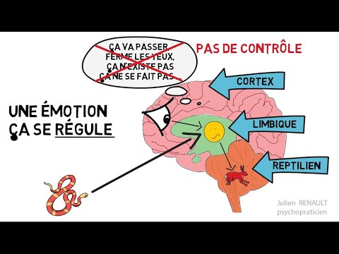 Les  émotions