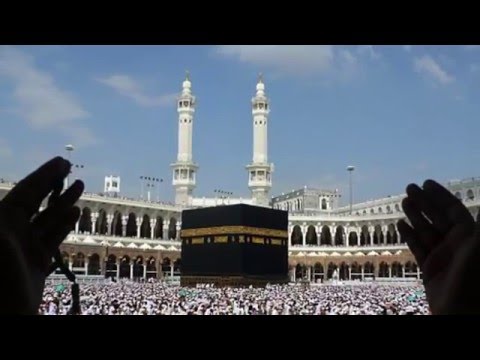 الدكتور محمد العامري يتحدث عن جهود الممكلة في خدمة ضيوف الرحمن في الحج