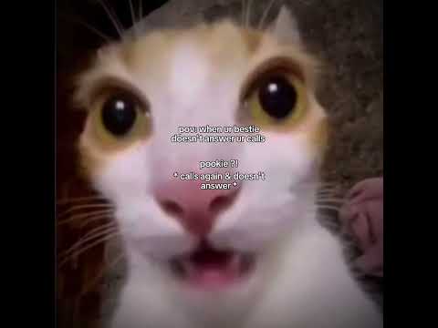 Me when my pookie doesn’t answer my calls 😧😧😧😱