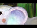 Lower Elephant Egg