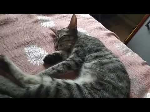 Gaur se dekhiye iss ko 😂 | Srujan Malgikar