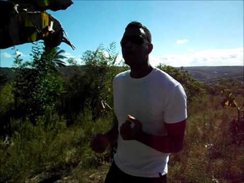 Michael Rose    Dangerzone