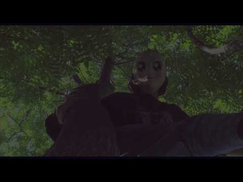 Video thumbnail for houseplant