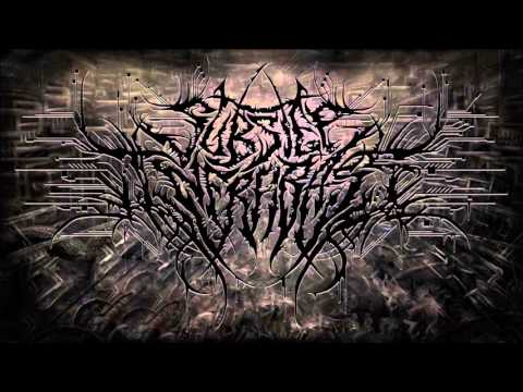 SUBSTEP INFRABASS FEAT.SVIERSZCZ - ABLUTION FROM DECAY (RAW EDIT)