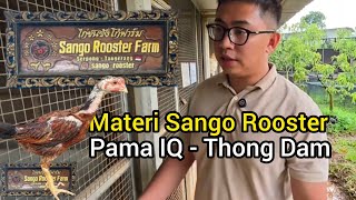 Download lagu π΄Sango Farm Material for the Month of Ramadan - Pama IQ Thong Dam mp3 Download lagu π΄Sango Farm Material for the Month of Ramadan - Pama IQ Thong Dam mp3