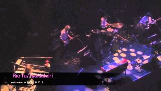 &quot;Tsukiakari&quot; by Rie fu