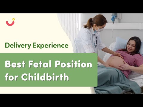 Types of Fetal Positions | What is the Best Fetal Position for Childbirth | Delivery Experience