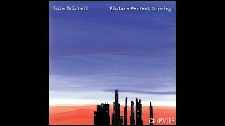 03.   WHEN THE LIGHTS GO DOWN   -    EDIE BRICKELL   ALBUM   EDIE BRICKELL   PICTURE PERFECT MORNING