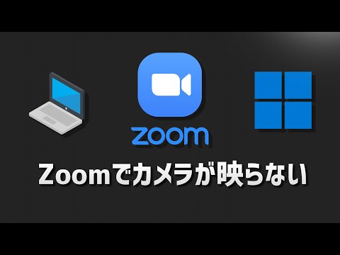 Zoom がカメラを認識しない: Zoom に画像が表示されない場合はどうすればよいですか?