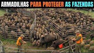 Como os Agricultores Usam Armadilhas para Proteger Suas Fazendas em pleno 2026
