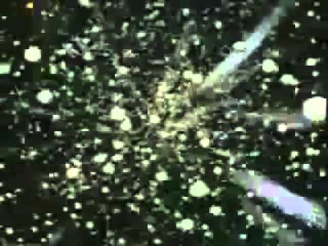 Per ata qe duan pendohen|Enes Goga|- Emocionuese