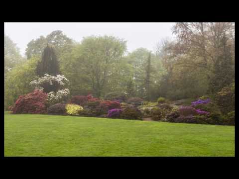 Gothenburg botanical garden, May 2017