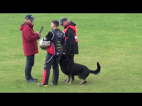 WUSV 2021 DNK 4 - JENS MARTIN KAMSTRUP  & CARTAGENA YOU CAN C 89