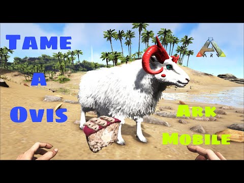 Taming Ovis || How To Tame Ovis Ark Ultimate Survival Mobile Edition #arkmobile
