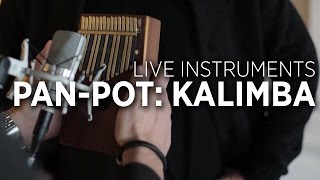 Pan-Pot Studio Interview: Using A Kalimba In Your Productions