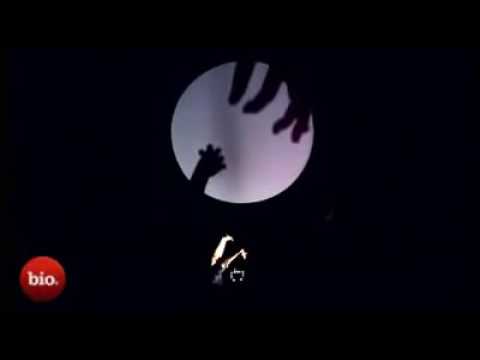 Amazing Hand Shadow Performance