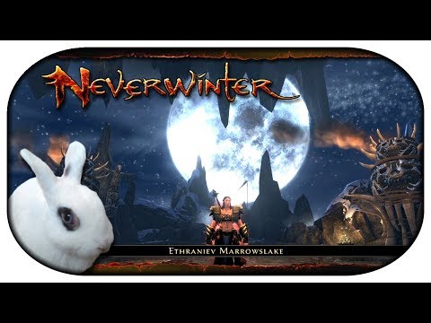 NEVERWINTER: Paladin-LP 🐇 40 - Der Grauwolfbau [mit Umfrage]