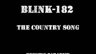 Blink-182 - The Country Song (Cover)