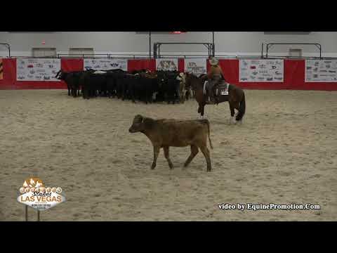 WR Hotshot ridden by Anne M. Albert  - 2019 NRCHA Stallion Stakes (Herd Work, NP Ltd.)