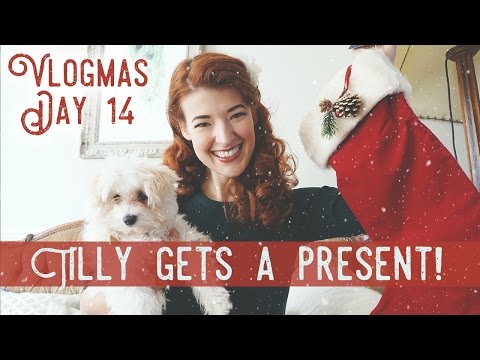 Puppies and Presents! / Vlogmas Day 14 Video