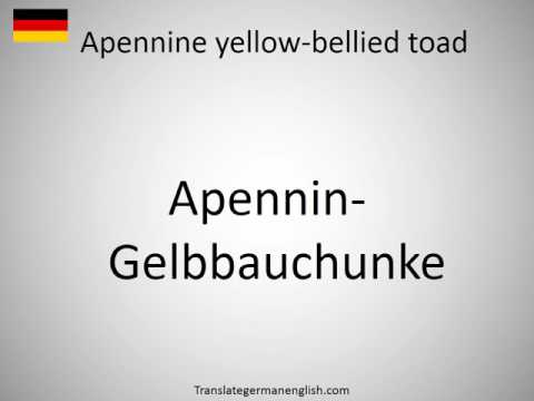 How to say Apennine yellow-bellied toad in German?