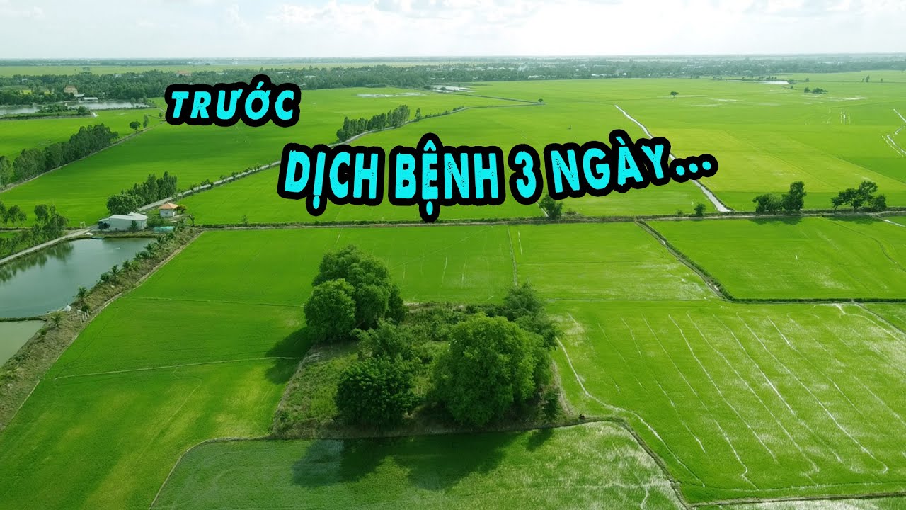 Trước Dịch Bệnh Bùng Phát 3 ngày tôi đã đi đâu