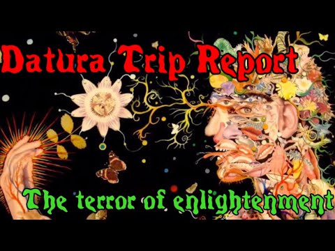 Datura Trip Report: The Terror of Enlightenment