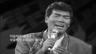 나훈아 - 연정(戀情)