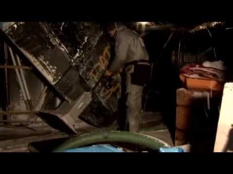 Une communauté givrée, court métrage réalisé par Vincent Hilaire à bord de Tara