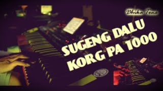 Download lagu INSTRUMEN DANGDUT _ SELAMAT MALAM _ KORG PA1000 mp3 Download lagu INSTRUMEN DANGDUT _ SELAMAT MALAM _ KORG PA1000 mp3