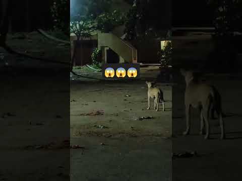 TM-GHOST-HUNTER-99K New ghost short ।। no copyright ghost video ।।😱😱😱 #shorts