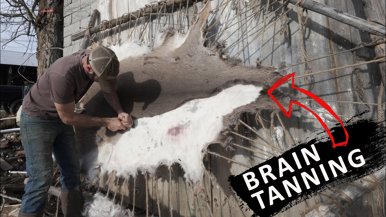 Make Clothes from DEER SKINS | Full Process BRAIN TANNING
