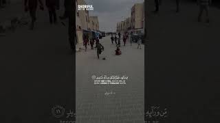 Download lagu SURAH IBRAHIM - HAMZA BOUDIB mp3