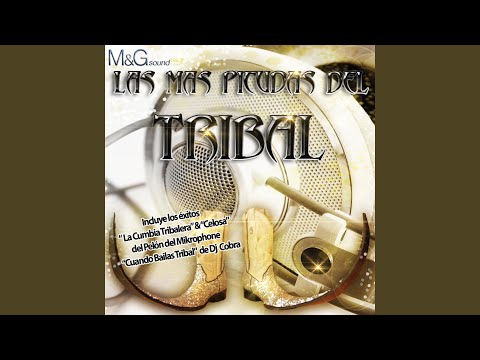 La Cumbia Tribalera