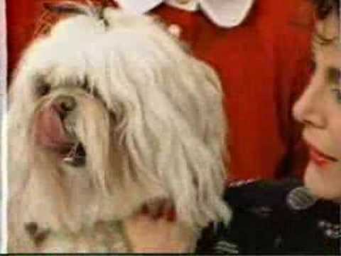 ATTITUDES: (Linda Dano & Dee Kelly) Alan Rachins Pt. 3