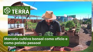 Miniatura do vídeo
