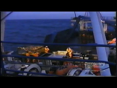 The Deadliest Job in the World - Discovery Channel, 1999 w/ Commercials [Recorded in Juneau, AK]